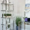Hartford 79-inch 5-shelf Glass Bookshelf Chrome - COA-805538