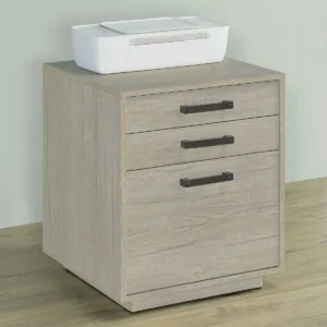 Loomis 3-drawer Home Office File Cabinet Whitewashed Grey - COA-805882