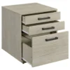 Loomis 3-drawer Home Office File Cabinet Whitewashed Grey - COA-805882