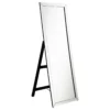 Soline 22 x 61 Inch Framed Standing Floor Mirror Silver - COA-961633