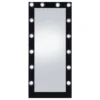 Zayan 32 x 71 Inch Floor Mirror LED Lighting Black Gloss - COA-969557